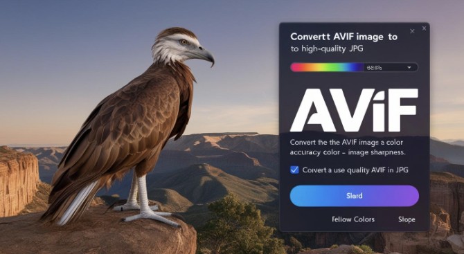 Change AVIF to JPG: Simple Methods for Image Format Conversion