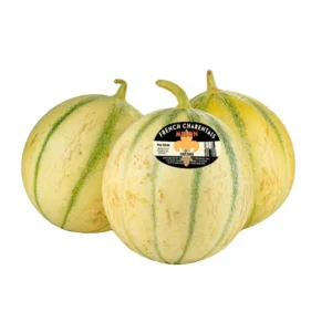 Charentais Melons