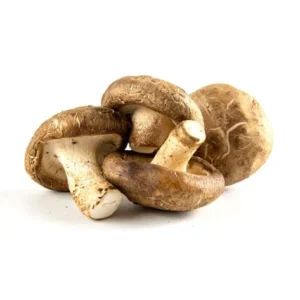 Shiitake Mushrooms
