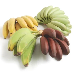 Banana Sampler