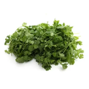 Cilantro