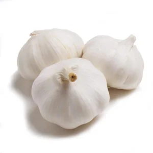 Colossal Garlic